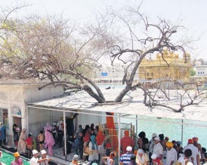 A view of Dukh Bhanjani Beri at Darbar Sahib (Amritsar)